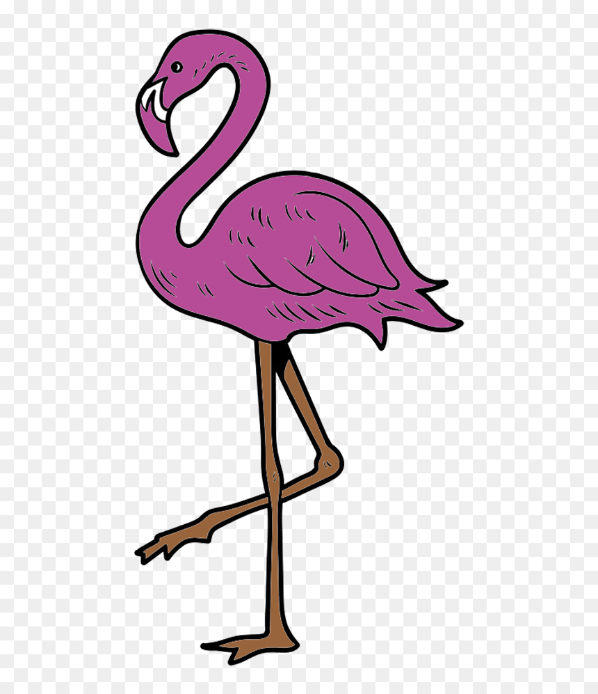 Greater Flamingo, HD Png Download - flamingo png