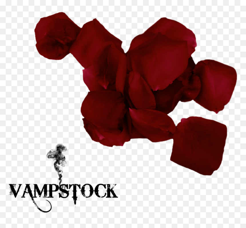 Red Black Rose Petals Png , Png Download - Black Rose Petals Png, Transparent Png - rose petals png