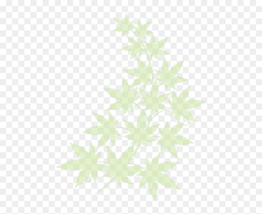Illustration, HD Png Download - weed leaf png