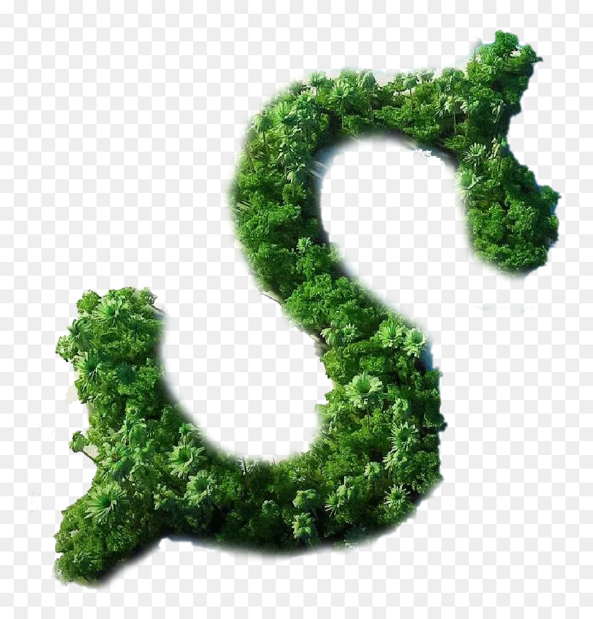 Moss, HD Png Download - dollar png