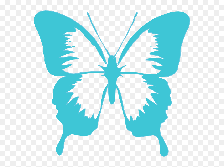 Free Butterfly Graphics Images Png Image Clipart - Butterfly Clip Art, Transparent Png - butterflies png