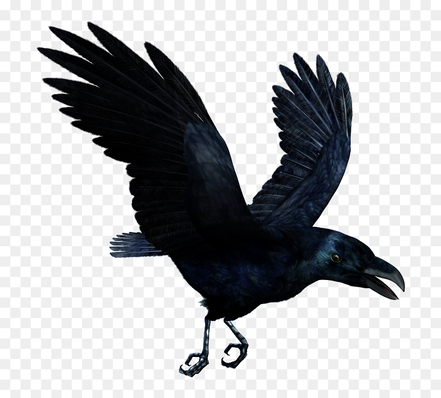 Thumb Image - Flying Transparent Raven, HD Png Download - raven png
