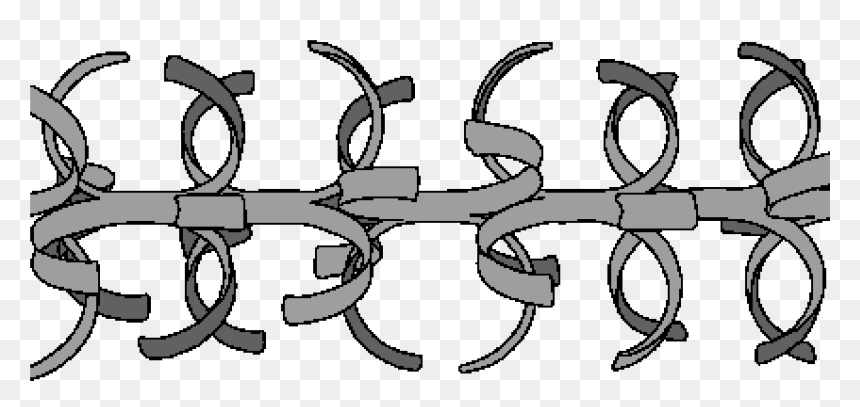 Barbed Wire , Png Download - Black-and-white, Transparent Png - barbed wire png