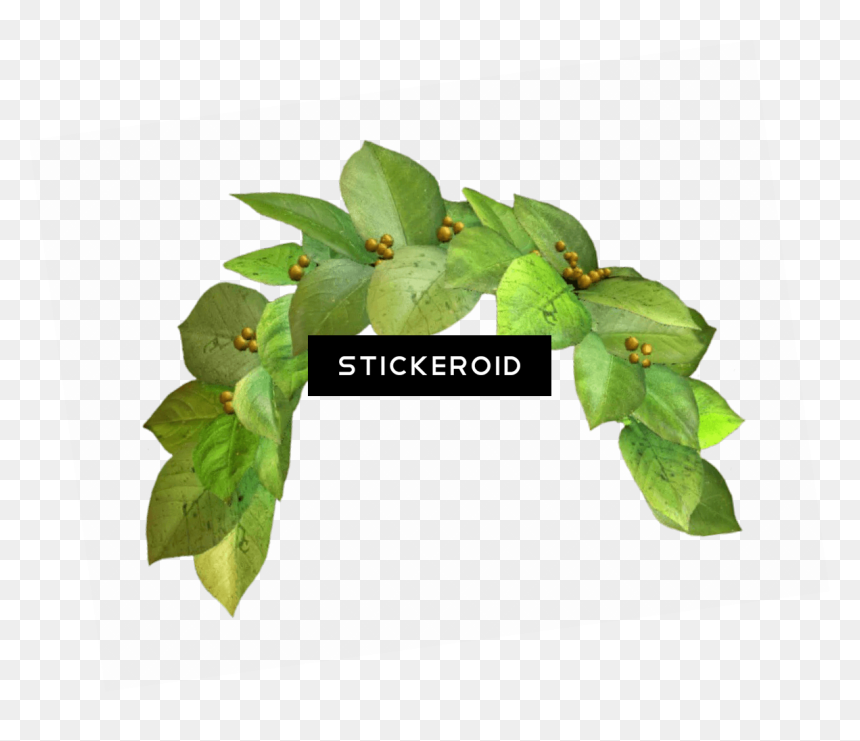 Snapchat Filter Green Crown - Flower Crown Png Green, Transparent Png - snapchat logo png transparent background