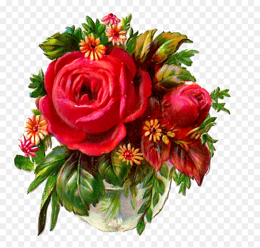 Good Morning For Sex, HD Png Download - red rose png