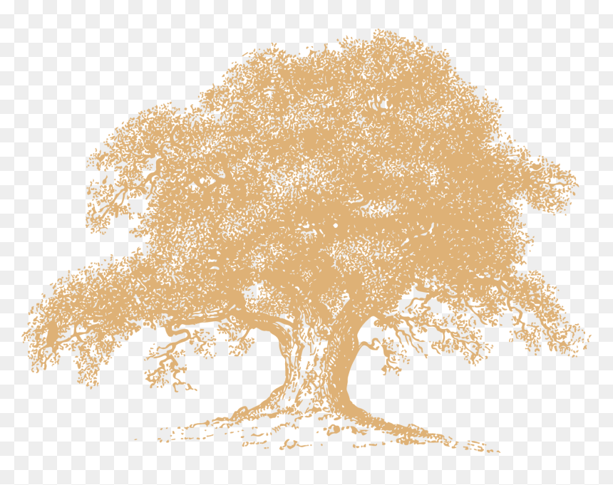 Crack Grunge Texture Png - Oak Tree Line Drawing, Transparent Png - grunge texture png
