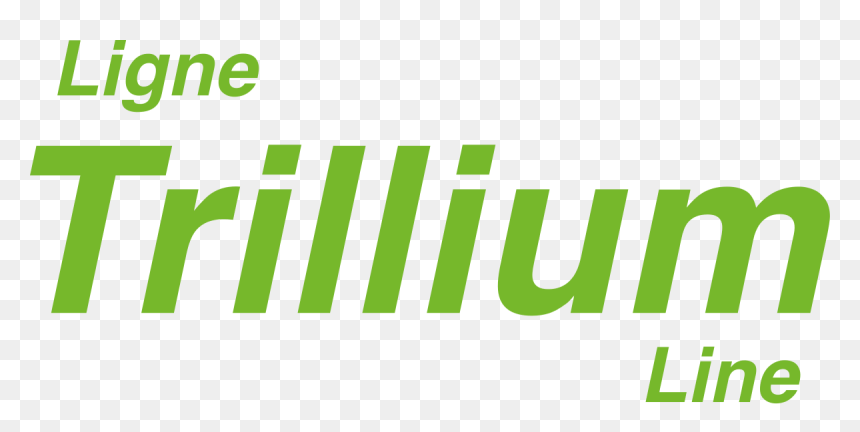 Green Check Mark Trillium Line - Graphic Design, HD Png Download - green check mark png