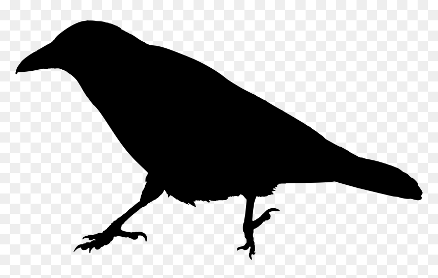 Raven Silhouette 3 Clip Arts - Clip Art Raven Silhouette, HD Png Download - raven png