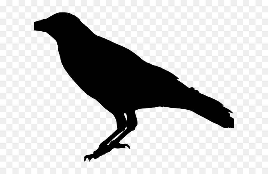 Crow Png Transparent Images - Raven Transparent Background, Png Download - raven png