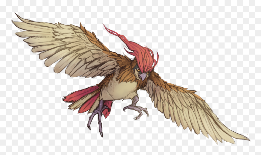 Melee Weapon Attack - Raven, HD Png Download - raven png