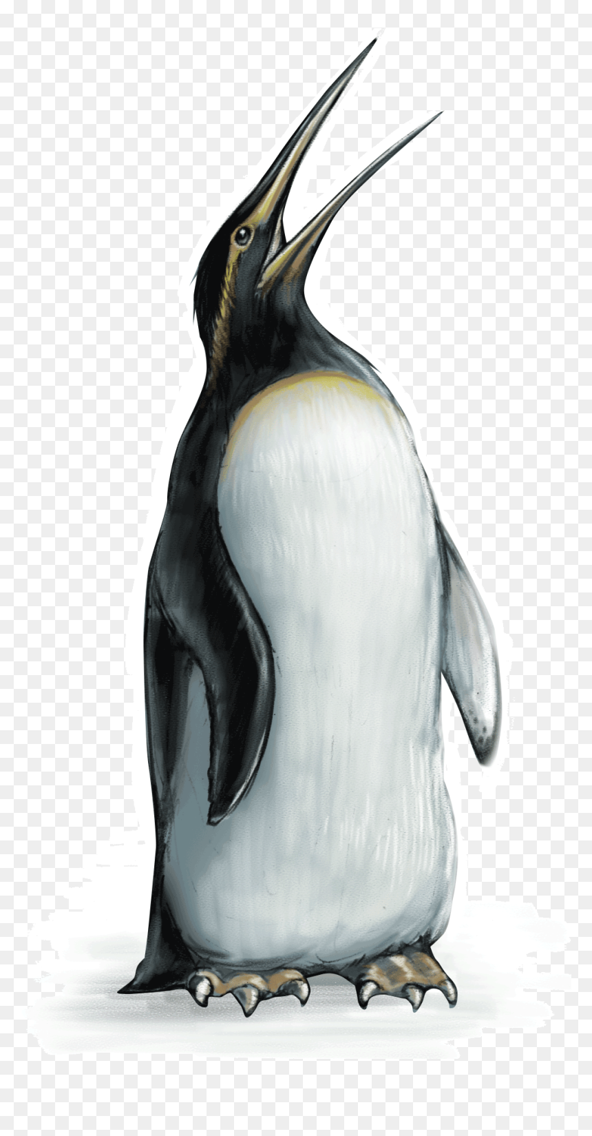 Emperor Penguin , Png Download - Emperor Penguin, Transparent Png - penguin png