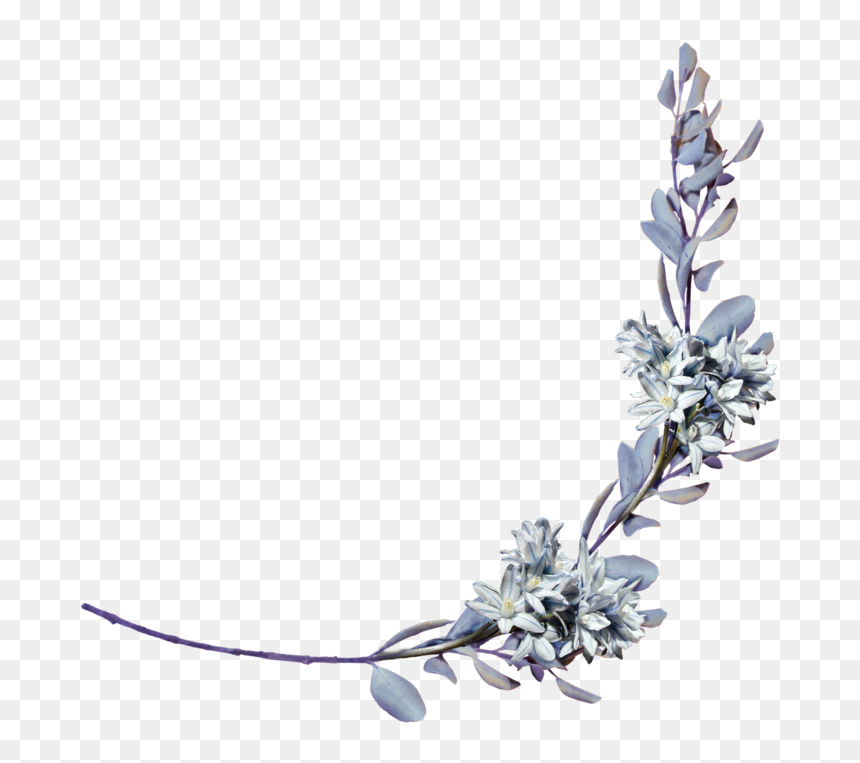Hyacinths With A Laurel Branch Png By Amalus-d4jhzppright - Hinglish Poems, Transparent Png - branch png