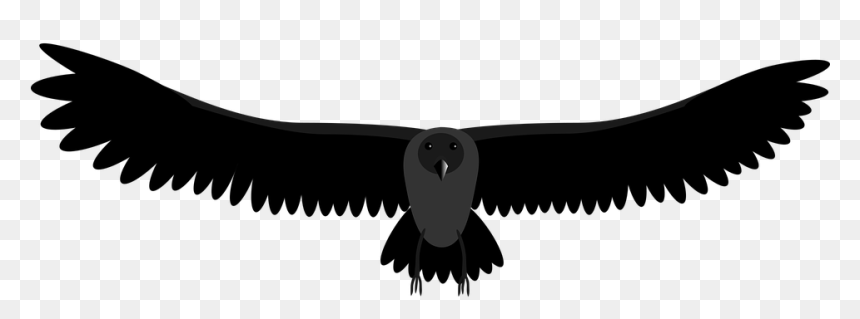 Gear, HD Png Download - raven png