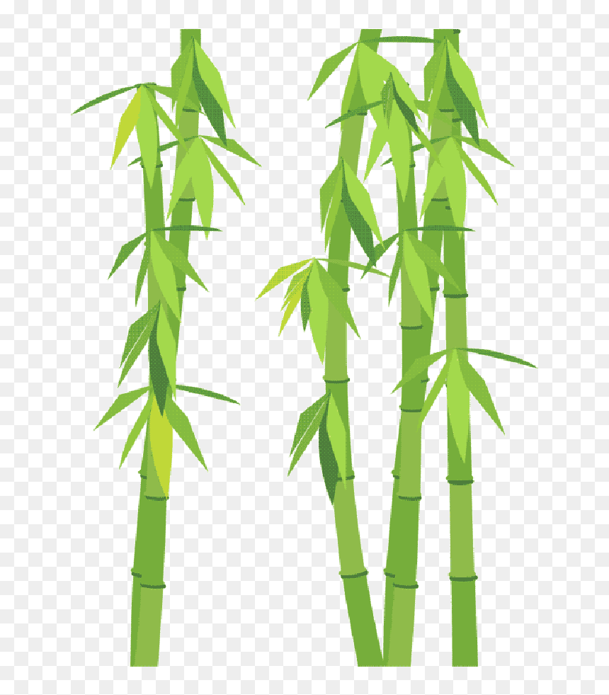 Go To Image - Bambou Png, Transparent Png - bamboo png