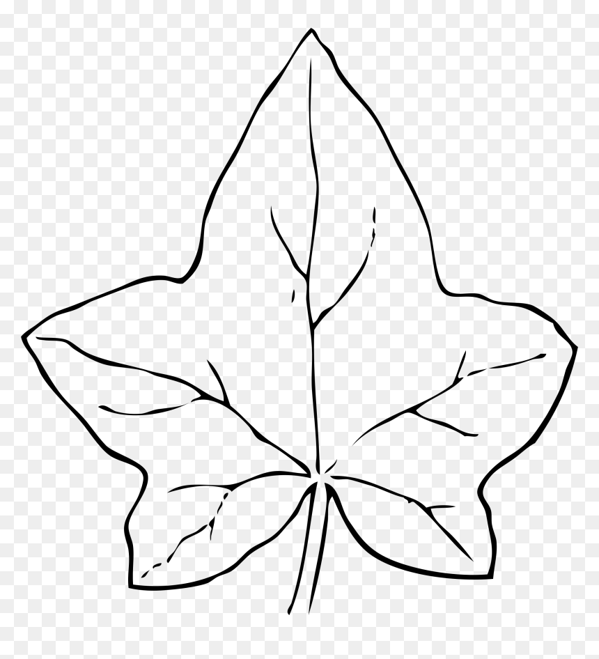 Ivy Leaf 2 Clip Arts - Pumpkin Leaf Clipart Black And White, HD Png Download - ivy png