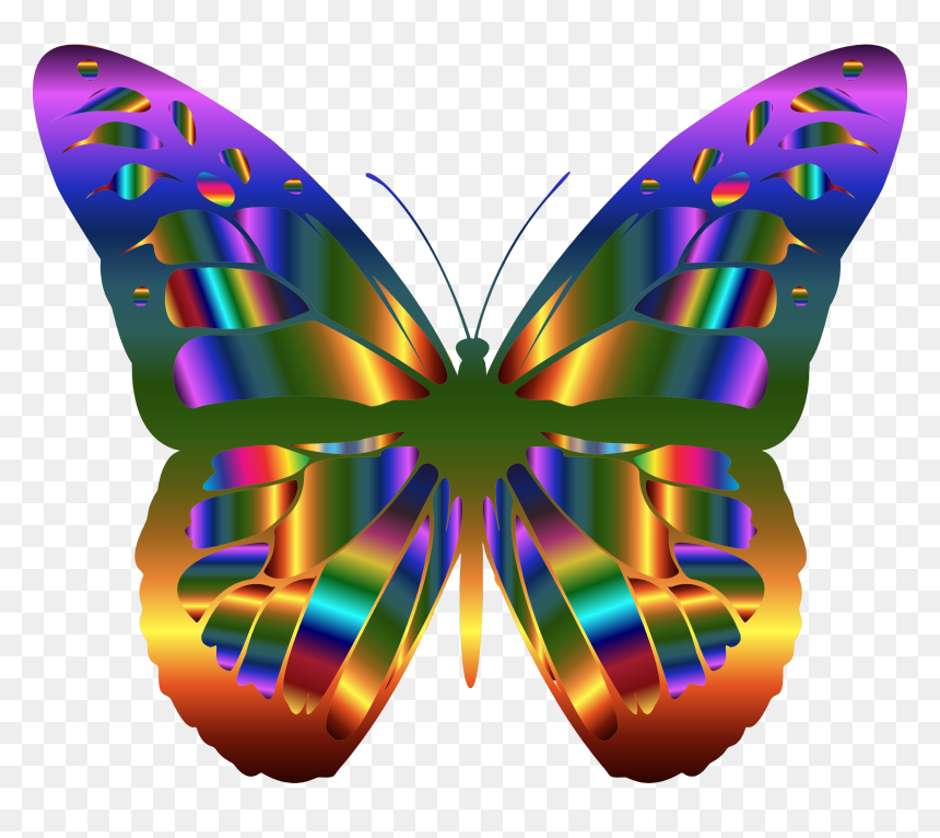 Clipart Butterfly, HD Png Download - monarch png