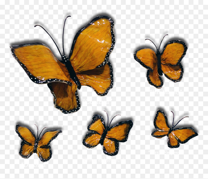 5 Monarch Butterflies, HD Png Download - monarch png