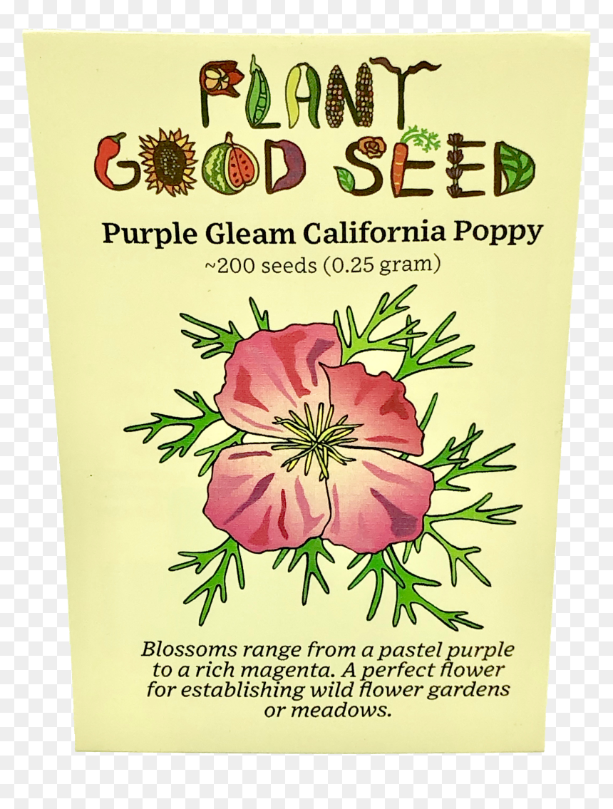 Seed, HD Png Download - gleam png