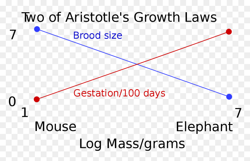 Wiring Diagram, HD Png Download - aristotle png