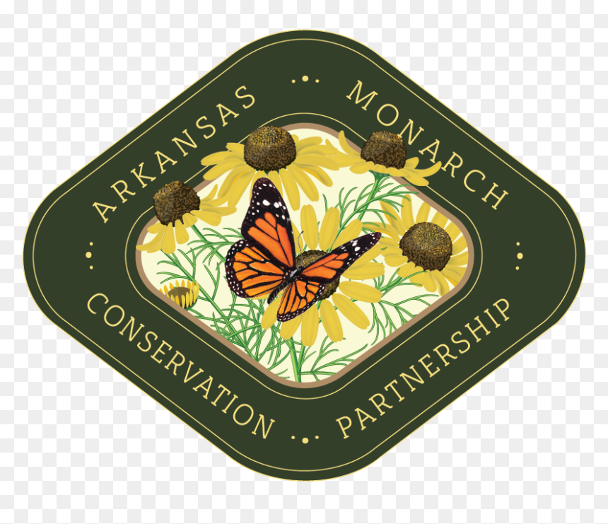 Butterfly, HD Png Download - monarch png