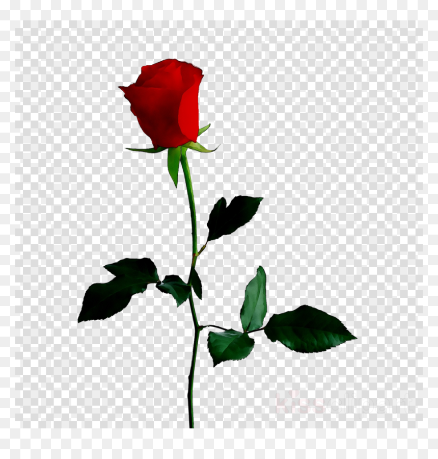 Audrey Hepburn Breakfast At Tiffany's Clipart, HD Png Download - cute flower png