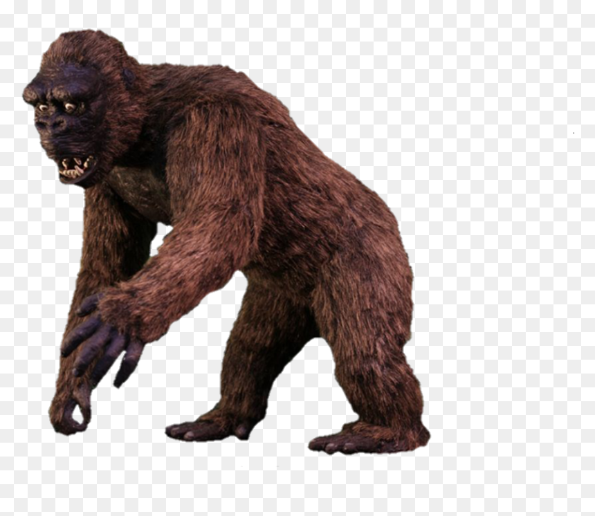 Monkey, HD Png Download - kong png