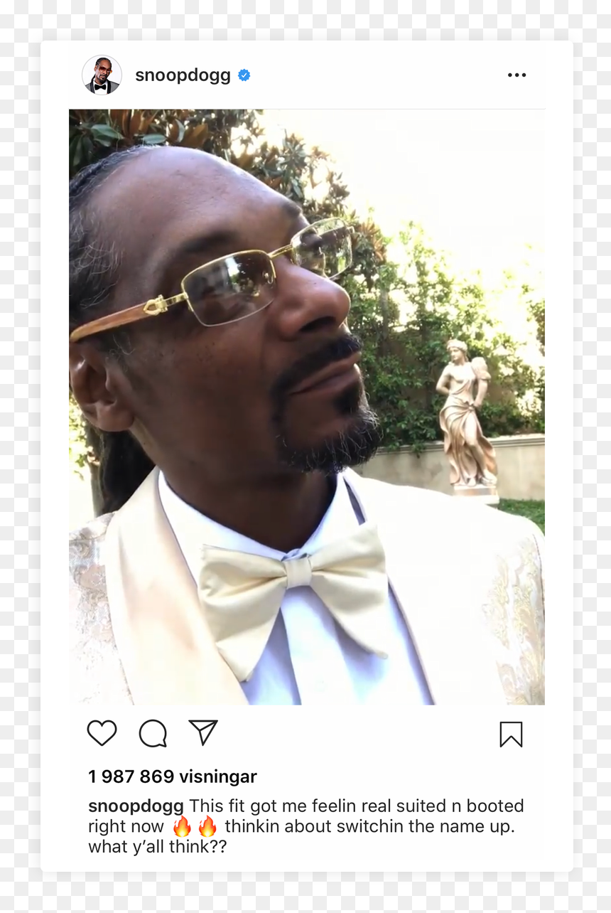 Photo Caption, HD Png Download - snoop png