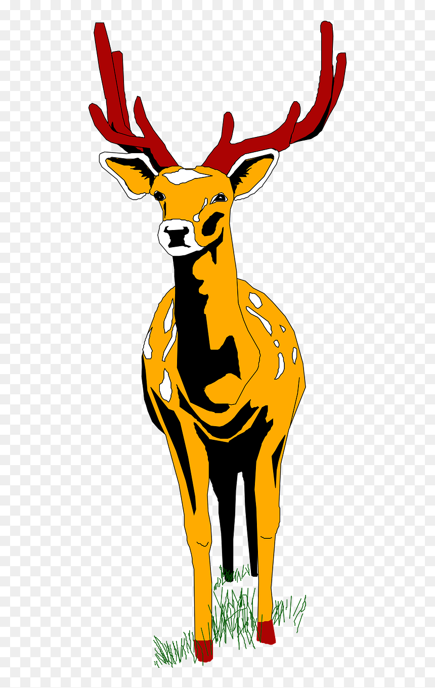 Cartoon Deer Front View, HD Png Download - deer horns png