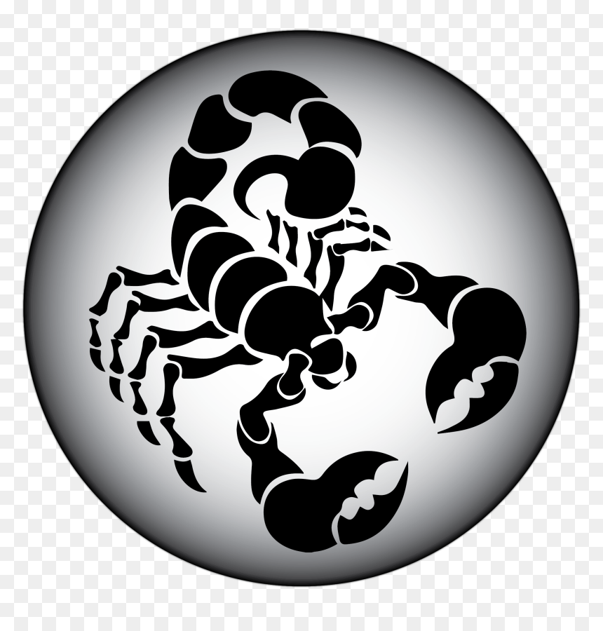 Scorpion Png, Transparent Png - 512x512 png images