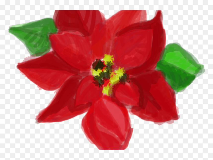 Poinsettia, HD Png Download - free christmas png