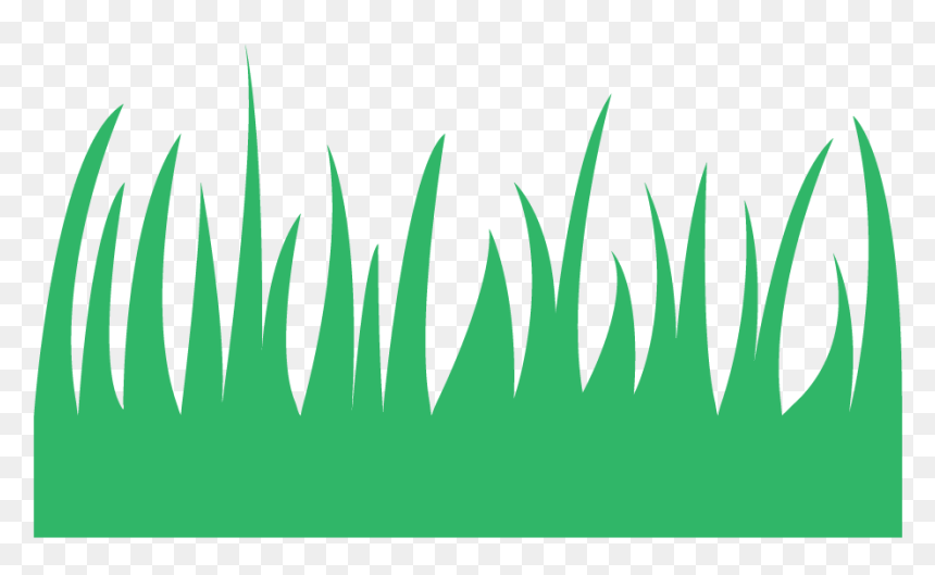 Illustration, HD Png Download - wild grass png