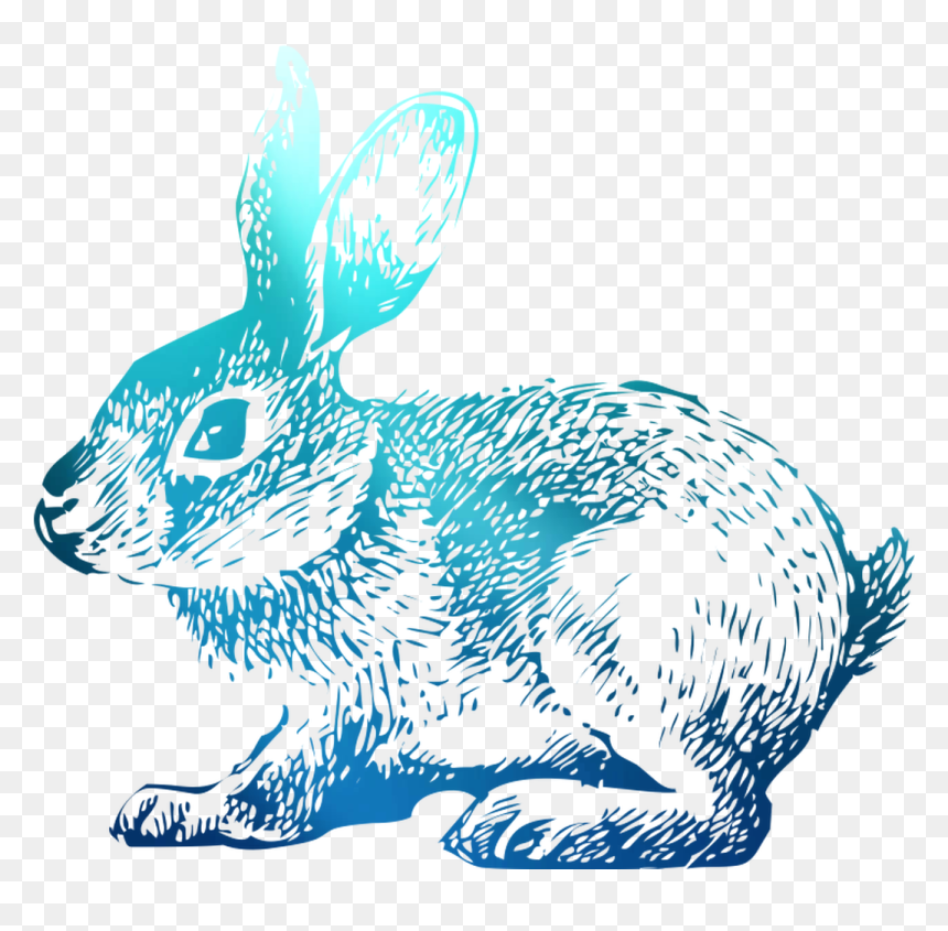 Domestic T-shirt Hoppy Rabbit Easter Bunny Clipart - Rabbit, HD Png Download - easter bunny png
