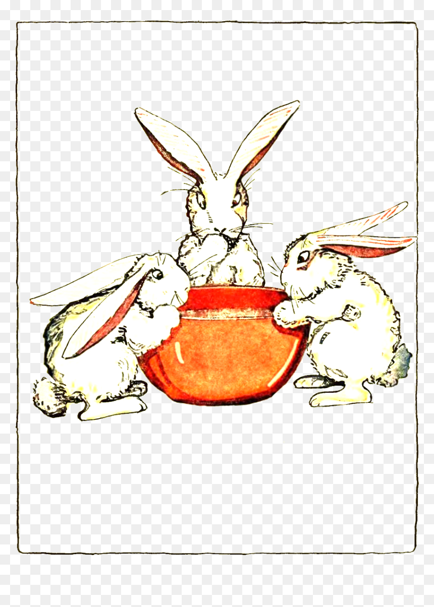 Peter Rabbit Albert, HD Png Download - rabbit png