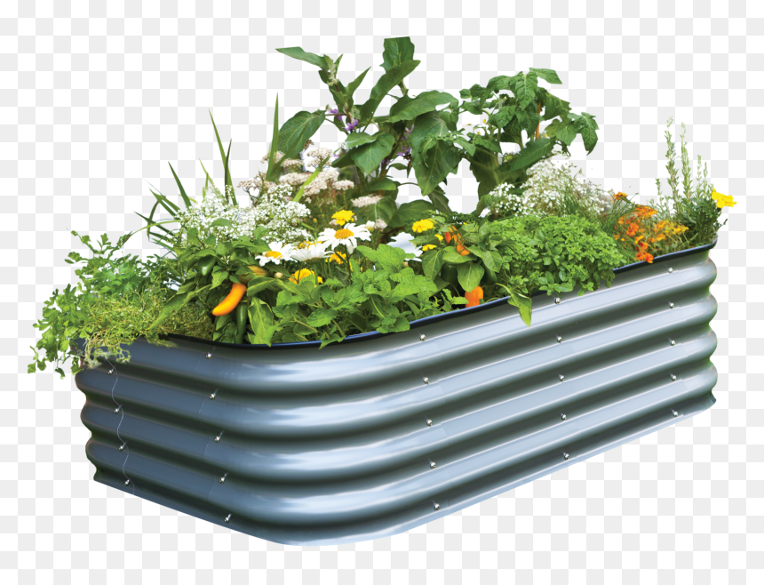 Veggie Garden Png & Free Veggie Garden Transparent - Garden Flower Pot Png, Png Download - garden png