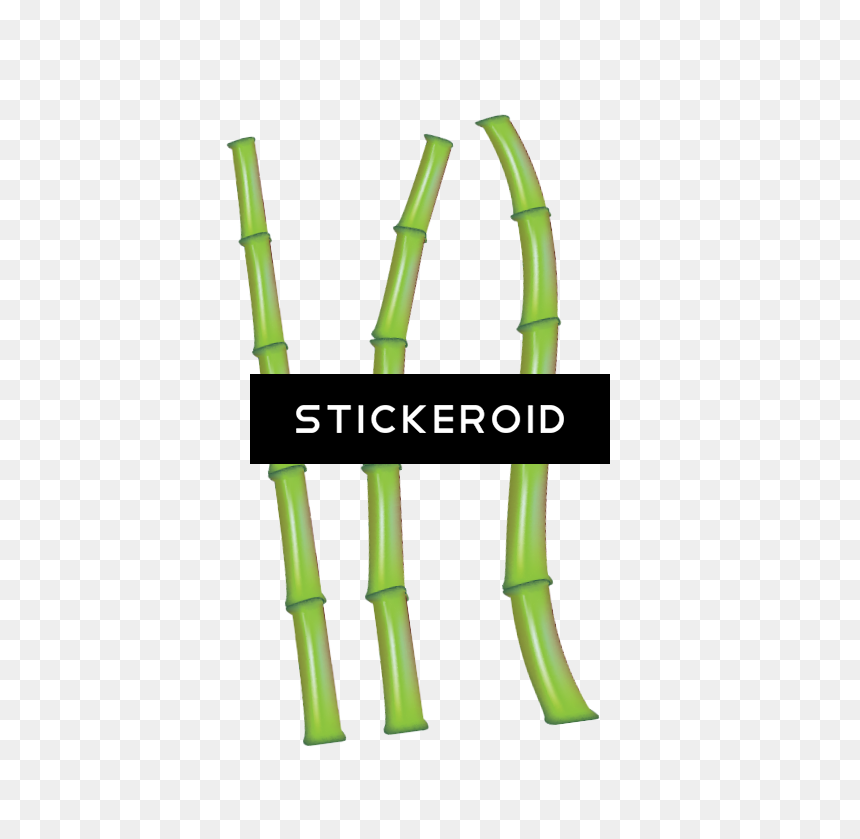 Bamboo Leaf Nature - Bamboo, HD Png Download - bamboo png