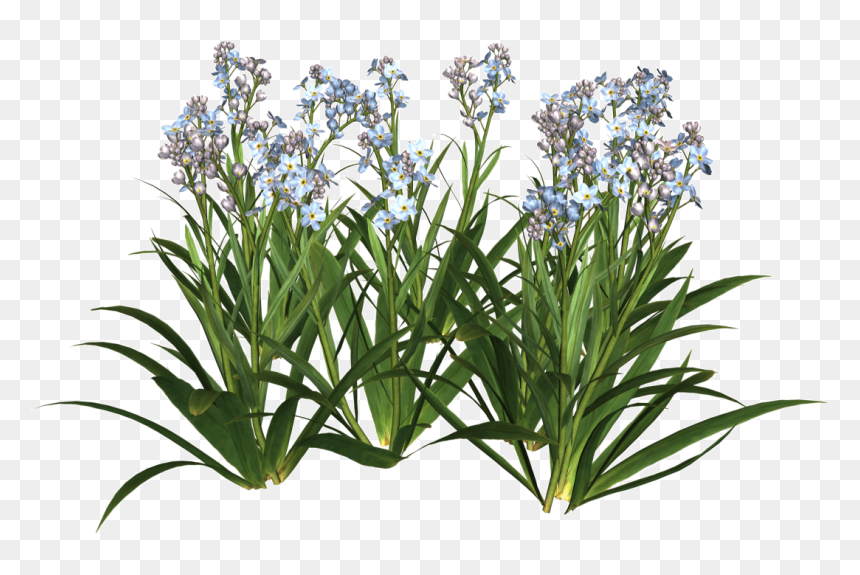 Thumb Image - Garden Flowers Png, Transparent Png - garden png