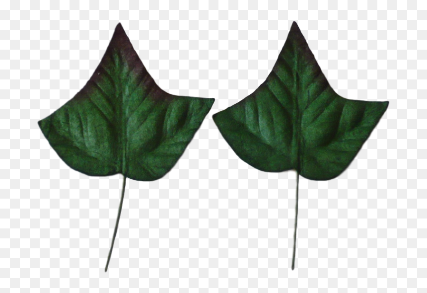 Green Mulberry Paper Ivy Leaves 3,5cm / 10pcs - Leaf, HD Png Download - ivy png