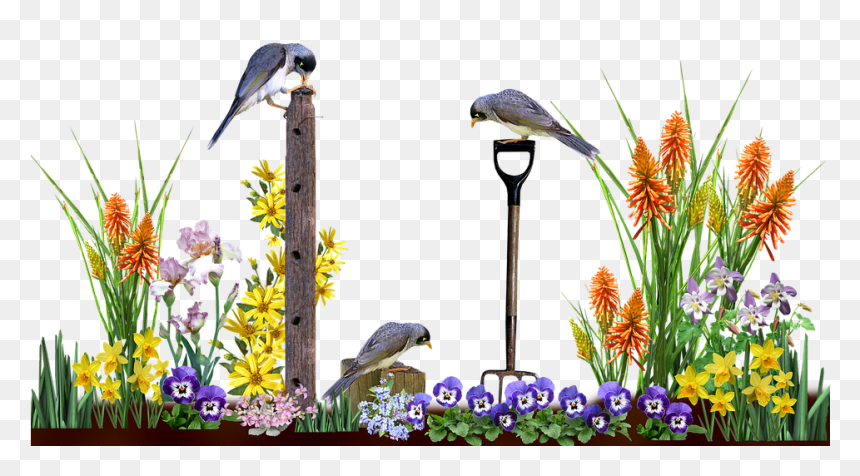 Wiosenne Porządki Karty Pracy Przedszkole, HD Png Download - garden png
