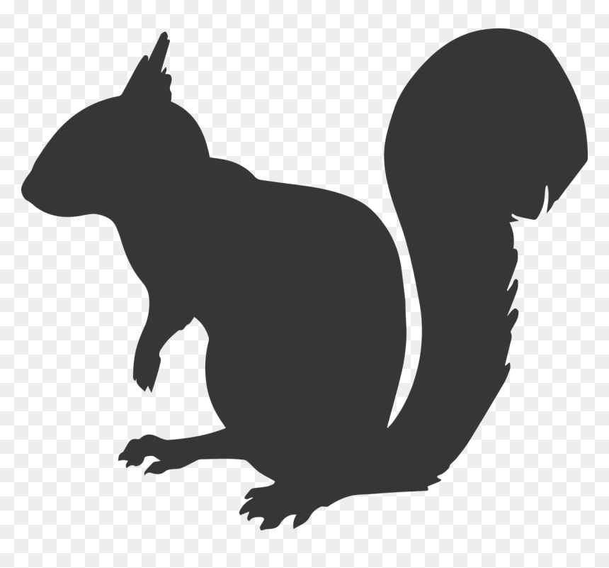 Squirrel Silhouette Png, Transparent Png - squirrel png