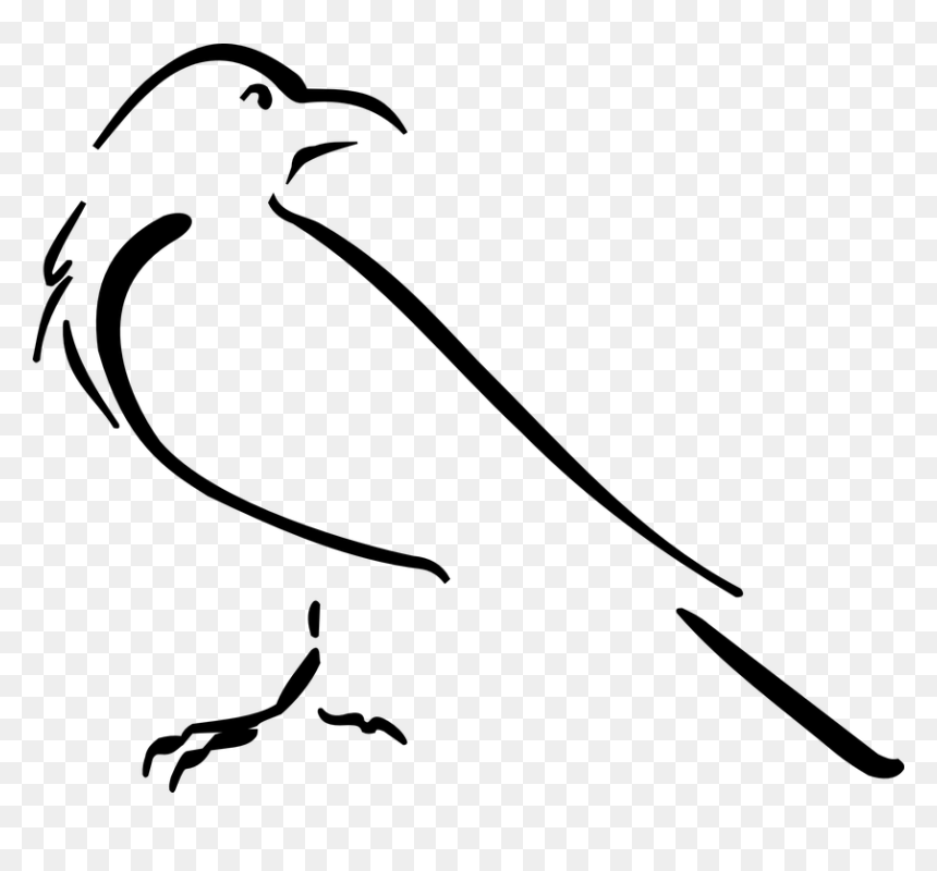 Crow Drawing Outline, HD Png Download - crow png