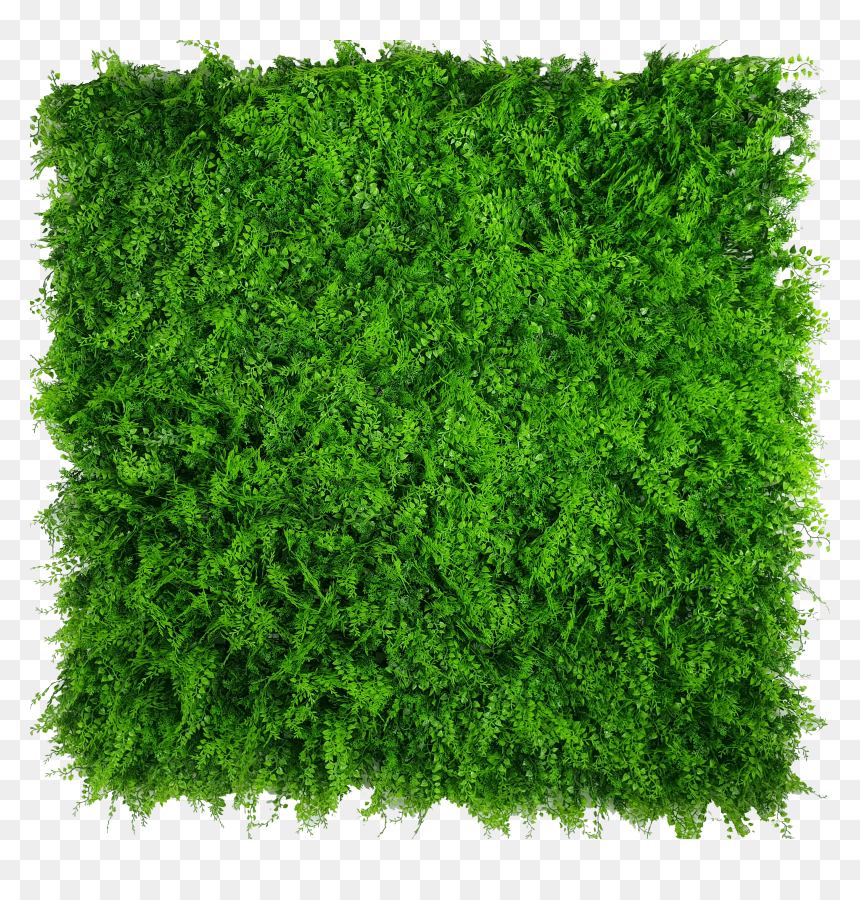 Transparent Vertical Garden Png - Transparent Green Wall Png, Png Download - garden png
