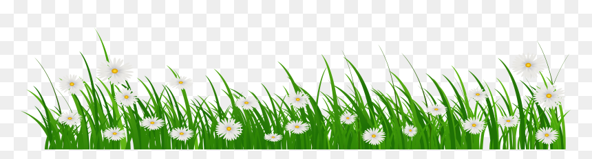 Grass With Flower Clipart Banner Freeuse Grass With - Flowers And Grass Png, Transparent Png - tall grass png