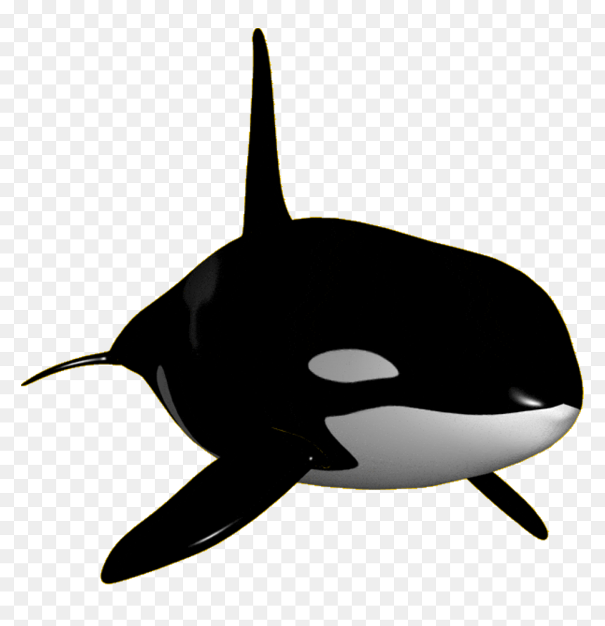 Orca Clipart Transparent - Orca Clipart Png, Png Download - whale png