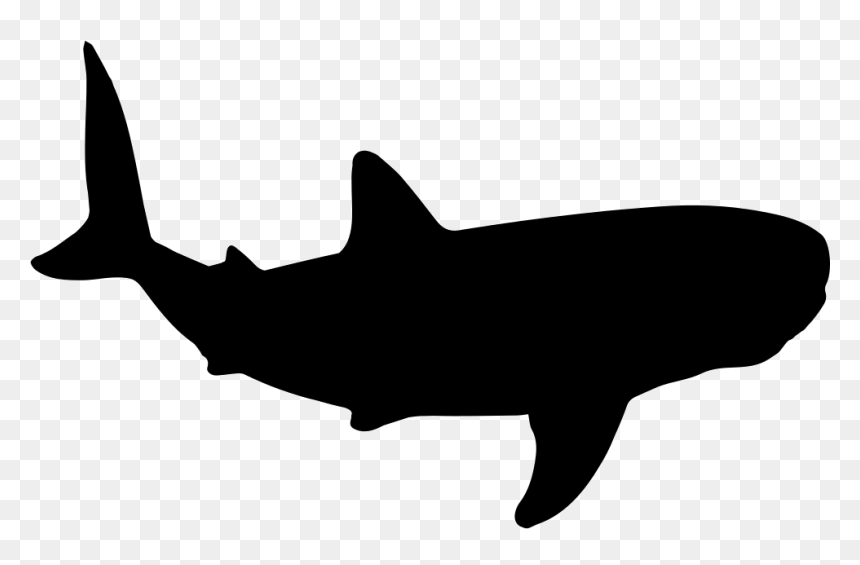 Whale Shark Shape - Transparent Background Shark Cartoon, HD Png Download - whale png