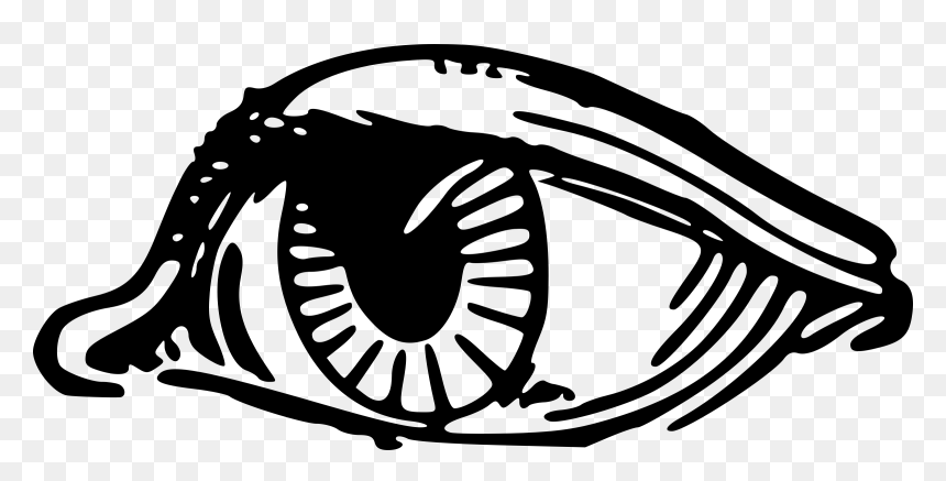 Eyeball Clip Arts - Eye, HD Png Download - eyeball png