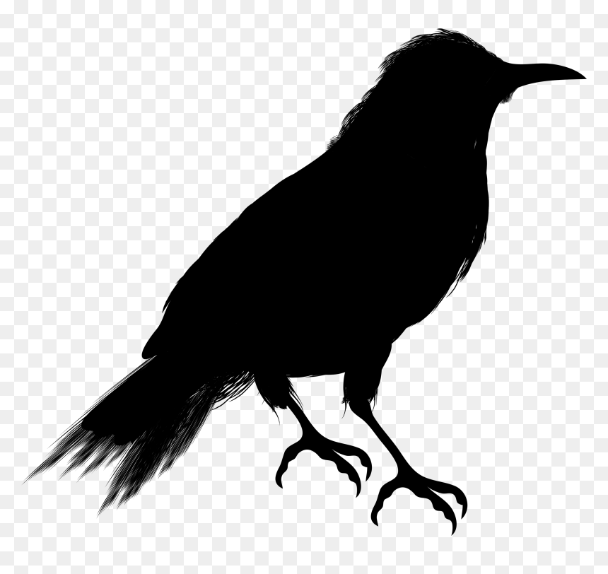 Crow Clipart Vector - Crow Black And White, HD Png Download - crow png