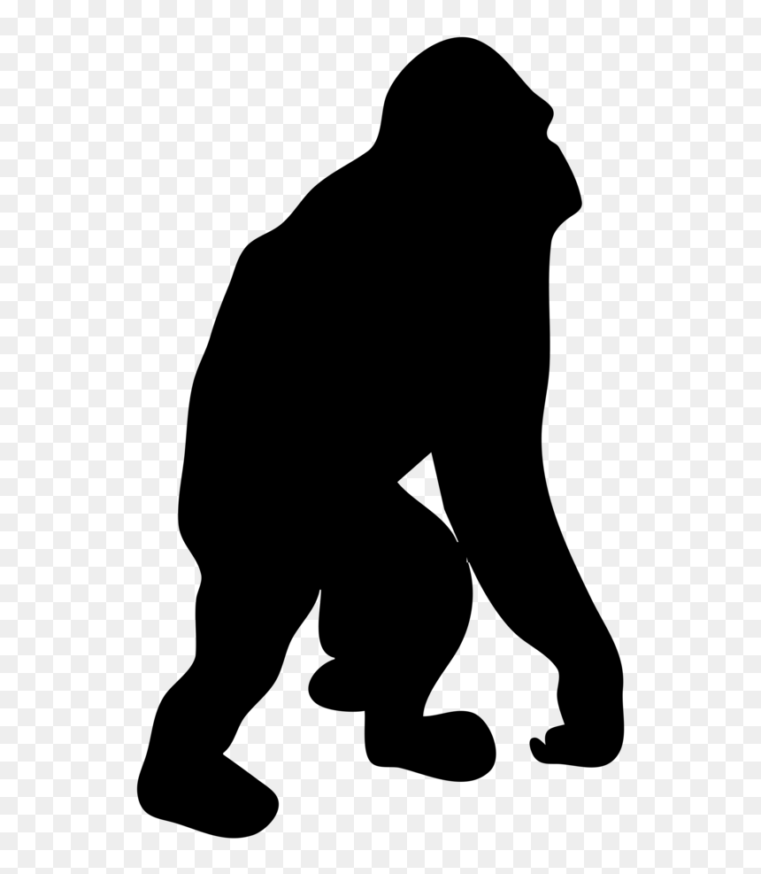 Gorilla Silhouette Png - Orangutan Silhouette, Transparent Png - gorilla png