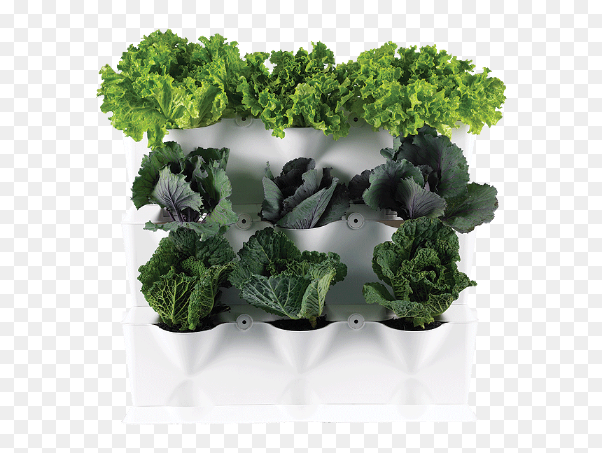 Vertical Garden Png Transparent Background - Vertical Vegetable Garden Png, Png Download - garden png