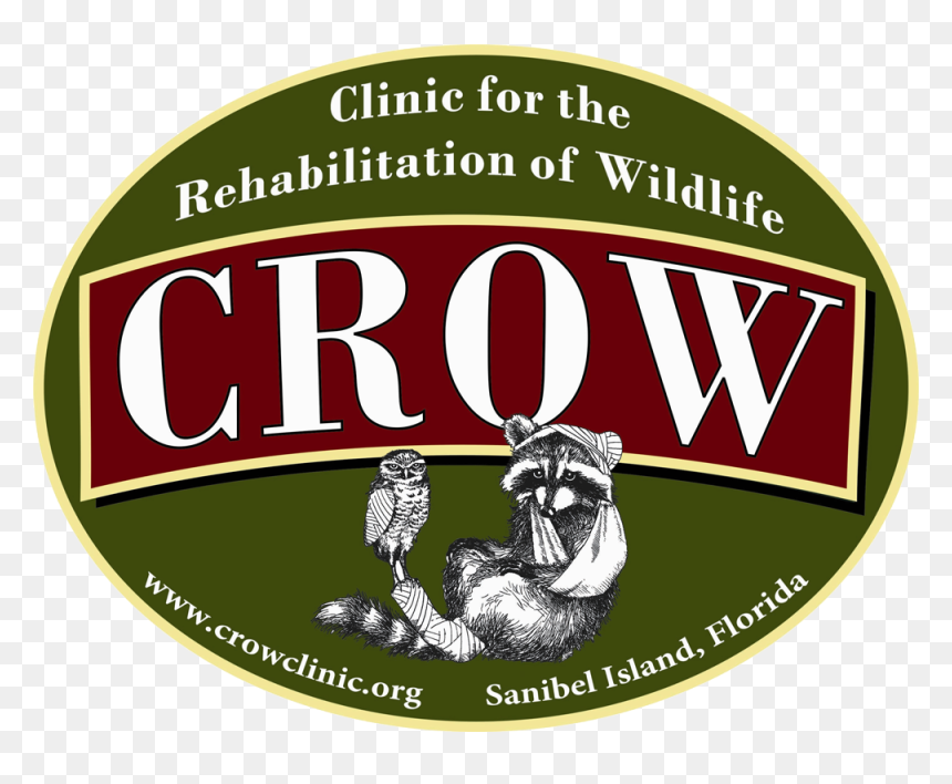 Crow - Tatranský Národný Park Tanap, HD Png Download - crow png