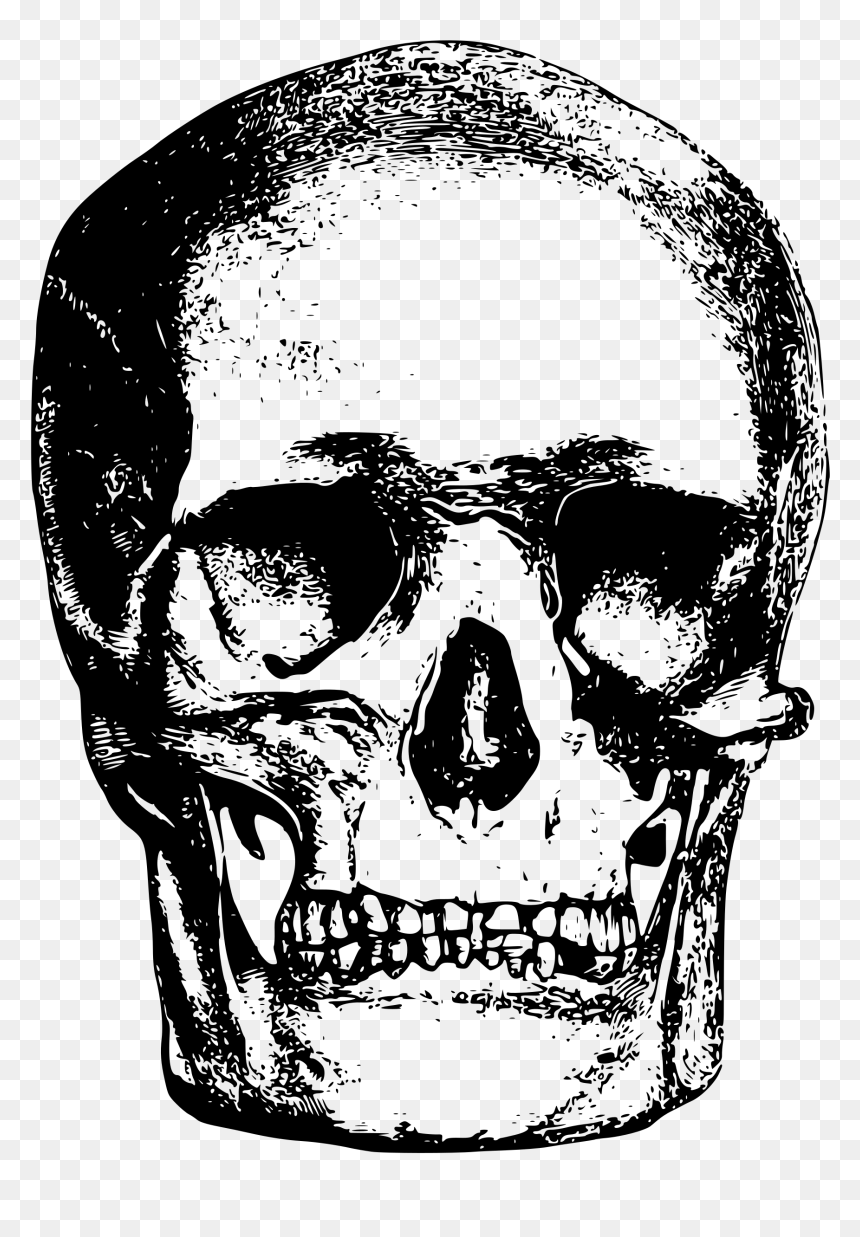 This Free Icons Png Design Of Skull - Bone Head Png, Transparent Png - bone png